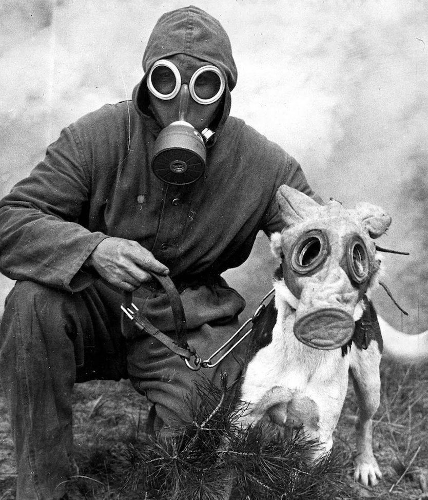 Screenshot 2025-09-23 at 21.48.07.png